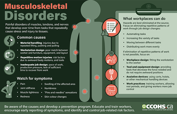 Preview an infographic outlining the causes and symptoms of musculoskeletal disorders, as well as actions that workplaces can take to reduce risks and keep employees safe